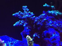 IMG_5993.jpg