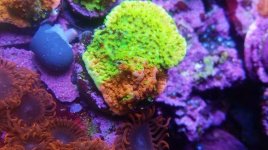 IMG_20180508_194225_321.jpg