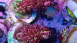 IMG_20180508_194217_077.jpg