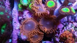IMG_20180508_194218_749.jpg