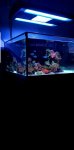 Screenshot_20190220-101916_Gallery.jpg