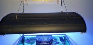 Screenshot_20190220-101737_Gallery.jpg