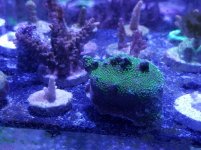 20180509_171316.jpg