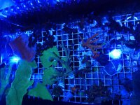 3015D04A-7391-460A-AD99-3F3267C86C61.jpg
