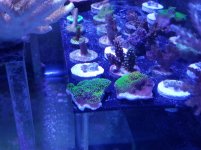 20180509_171300.jpg