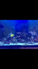 E42E1F4D-26D9-481A-A664-79C9F775D3F6.jpg