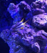 IMG_0403.jpg