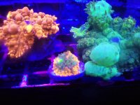 IMG_20190721_193818.jpg