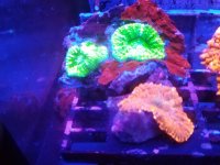 IMG_20190721_193843.jpg