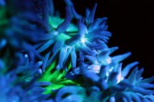 IMG_0040.JPG