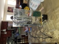 20181210_105310.jpg