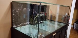 20180819_083440.jpg