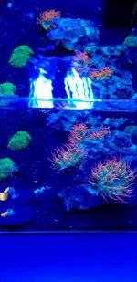 Screenshot_20190722-083529_Gallery.jpg