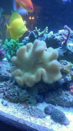 20181216_121057-01.jpg