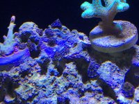 IMG_5559.jpg