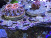 IMG_5560.jpg