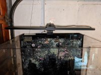 IMG_20180819_164440.jpg