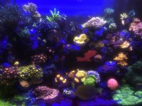 00C5FE7D-654A-4C16-80AE-710E3A9FAA41.jpg