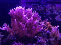 845AA0E1-0075-4AB7-9FD4-0C980AF27BD0.jpg