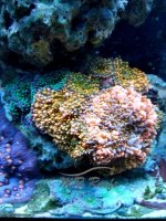 WaterMark_2018-10-04-14-18-05.jpg