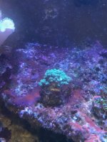 IMG_2842.jpg