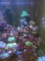 IMG_2852.jpg