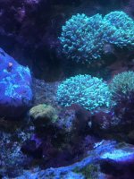 IMG_2832.jpg