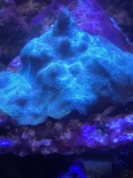 IMG_2834.jpg