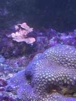 IMG_2844.jpg