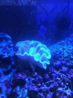 IMG_2845.jpg