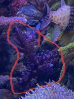 C9FD97C3-F202-4C60-B5BA-7B17CC2A36C0.jpg