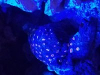 20190220_224751.jpg