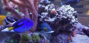 20180821_201657.jpg