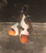 E192EE48-31F5-4E34-B969-E7B784BBA5C6.jpeg