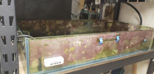 20180822_093749.jpg