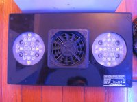 IMG_2867.jpg
