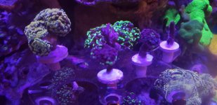 20181209_110504.jpg