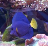 20180923_204327.jpg