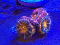 IMG_0254.JPEG