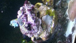 20181218_070126.jpg