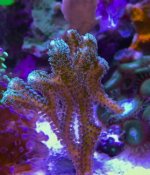 IMG_8306.jpg