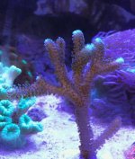 IMG_8305.jpg