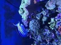 1CACC019-E005-4E29-BE35-06C0E3598D9F.jpg