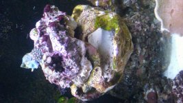 20181218_070052_Burst01.jpg