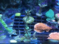 IMG_3230.jpg