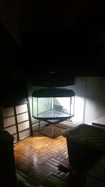20180805_233527.jpg