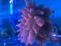 E5B93A3D-10B5-4FC7-A9B3-A57E82F068F3.jpg