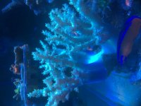 CEE1AB3F-0928-49EC-8701-29AA5C2E6AF4.jpg