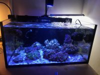 IMG_5785.jpg
