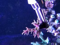 20181219_211841.jpg